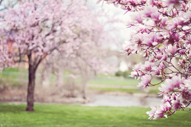 Exploring the Beauty of Spring: March Writing Prompt