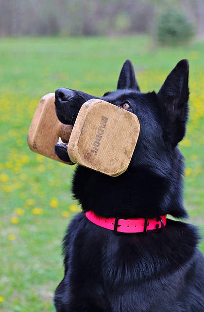 5. Embracing Diversity in the Classroom: Kindergarten Writing Prompts that Recognize Black Contributions