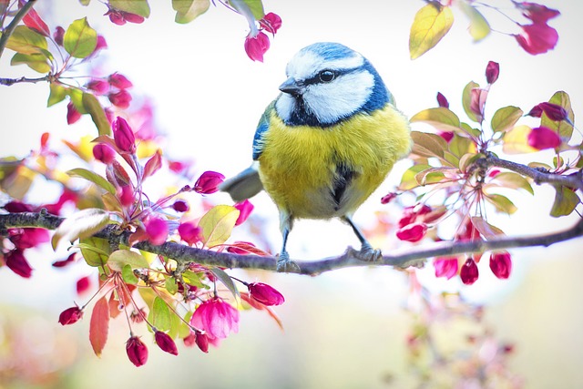 Writing Ideas to Capture the Essence of Springtime