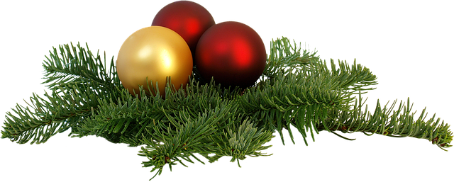 End of the Year Writing Prompt: Reflect on Your Journey