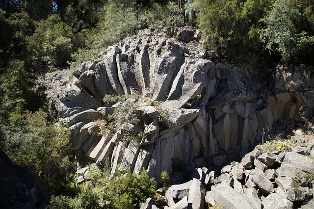 Analyzing the impact of Rosa Parks' refusal⁢ to⁢ give up her ‌bus seat