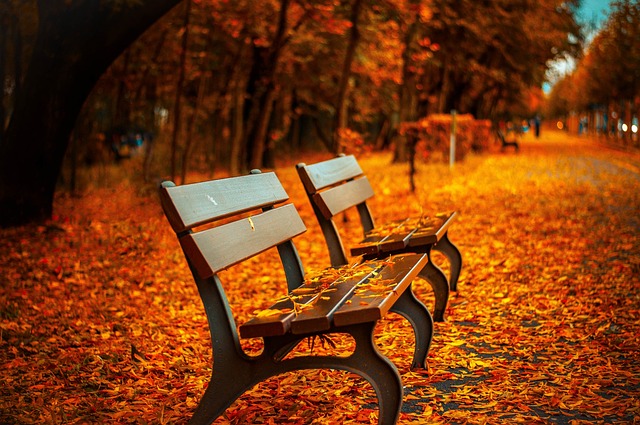 1. Discover the Beauty of Autumn: Inspiring Writing ‍Prompts to Capture the Season's Essence