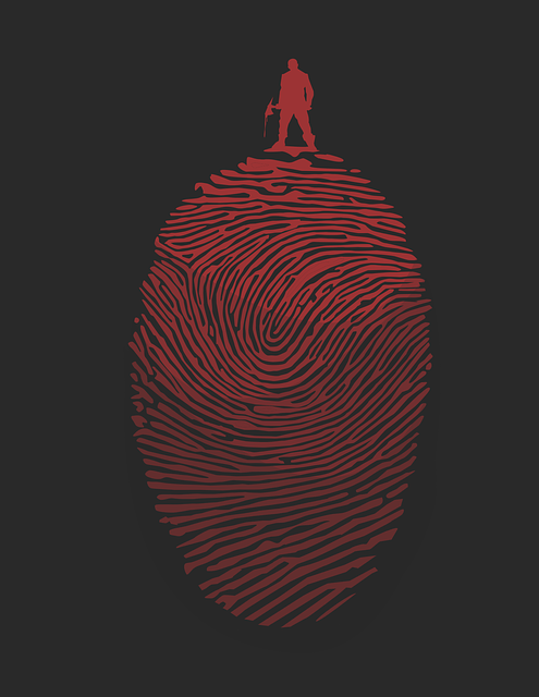 Analyzing the Importance of ⁤Survival Skills in 