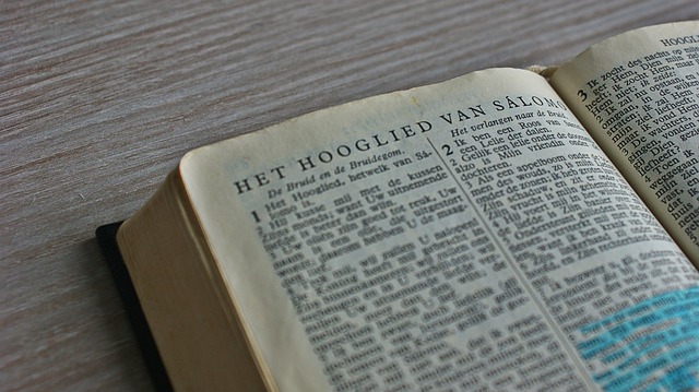 Contrasting Opinions: Experts Weigh in on Underlining Book Titles