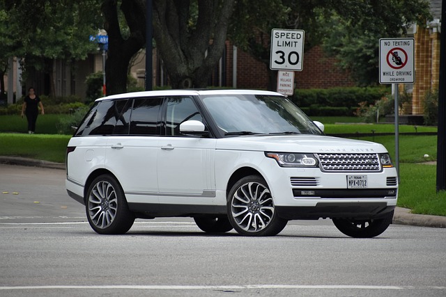 Best App for Writing an Autobiography: Tell Your Life Story 4 Effortless Organization: Apps that Make Structuring Your Autobiography a Breeze