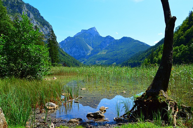 Leopold Writing Program: Ignite Your Literary Passion 4 Leopold Writing Program: Ignite Your Literary Passion