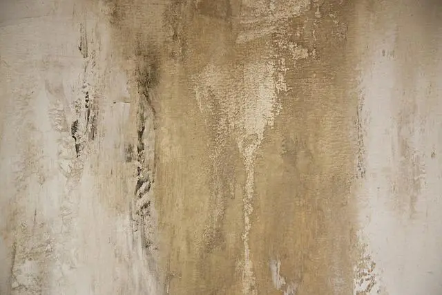 Creating Eye-Catching Canva Designs with Middle Eastern Calligraphy