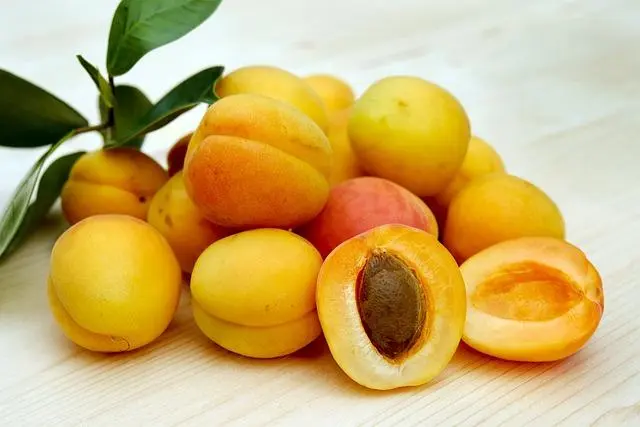 - Creative Ways to Incorporate Apricots Canva Font in Your Designs