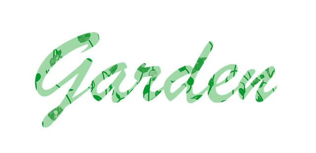 Best Cursive Fonts on Canva: Elegance and Style in Your Text 6 Script Cursive Fonts for a Personalized Feel