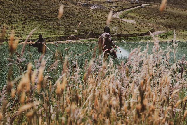 Creating a Modern Look with Gill Sans Alternatives