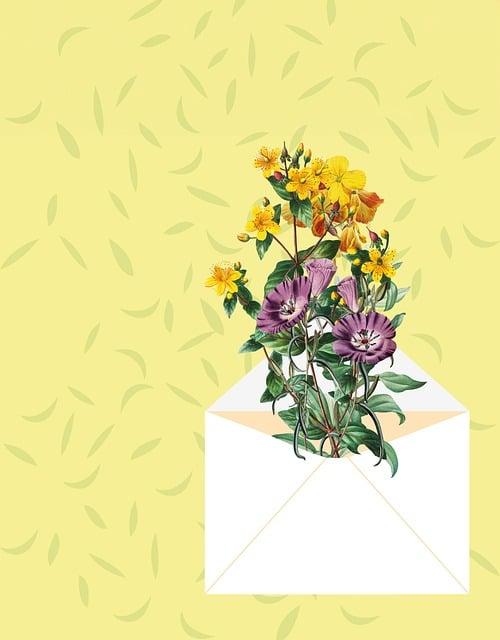 Capturing Whimsy: Canva Dr. Seuss Font for Fun Designs 4 - Designing Memorable and Lively Graphics Using Dr. Seuss Font