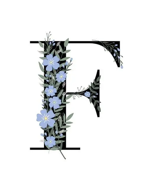 Understanding Typography Compatibility between Canva and Cricut