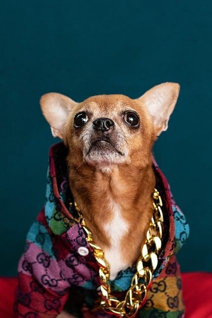 Unlock Luxury Branding: How to Use Gucci Font in Canva for Elegant Designs 4 Creating Consistent Branding with the Gucci Font in Canva